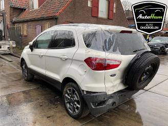 Ford EcoSport EcoSport (JK8), SUV, 2013 1.0 EcoBoost 12V 125 picture 6