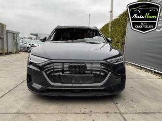 Audi E-tron E-tron (GEN), SUV, 2018 55 quattro picture 4