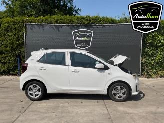 Salvage car Kia Picanto Picanto (JA), Hatchback, 2017 1.0 DPI 12V 2024/10