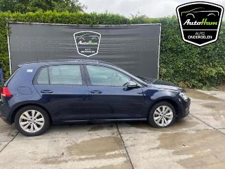  Volkswagen Golf Golf VII (AUA), Hatchback, 2012 / 2021 1.6 TDI BlueMotion 16V 2017/2