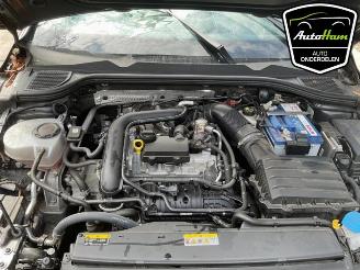 Volkswagen Golf Golf VIII (CD1), Hatchback, 2019 1.0 TSI 12V picture 14