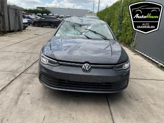 Volkswagen Golf Golf VIII (CD1), Hatchback, 2019 1.0 TSI 12V picture 3