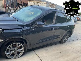 Ford Kuga Kuga III (DFK), SUV, 2019 2.5 PHEV 16V picture 5