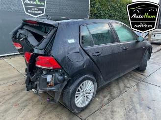 Volkswagen Golf Golf VII (AUA), Hatchback, 2012 / 2021 1.2 TSI 16V picture 9