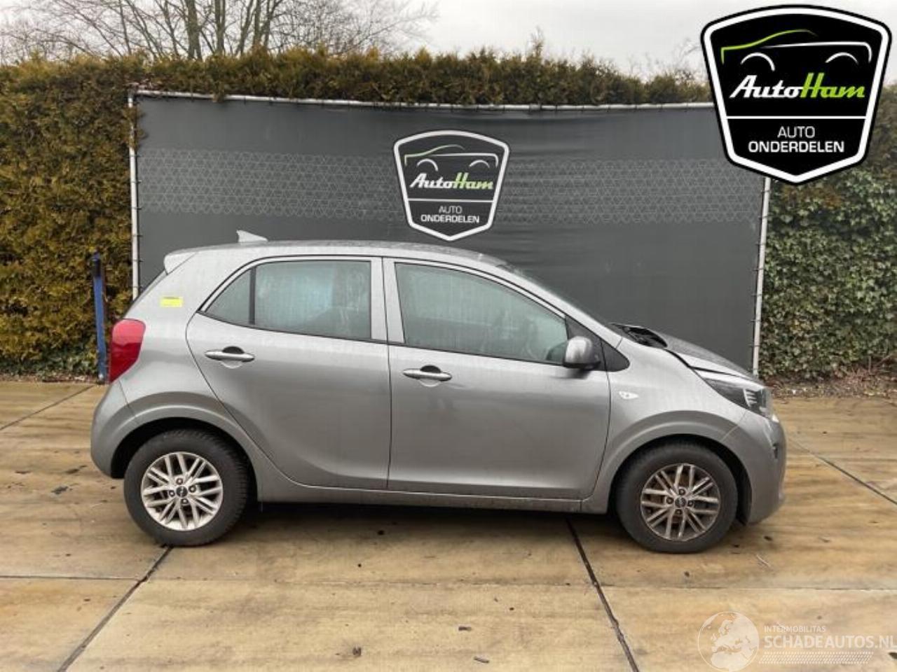 Kia Picanto Picanto (JA), Hatchback, 2017 1.0 DPI 12V