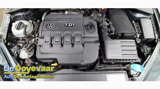 Volkswagen Golf Golf VII (AUA), Hatchback, 2012 / 2021 1.6 TDI 16V picture 3