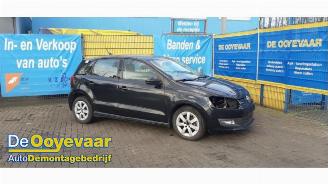 disassembly passenger cars Volkswagen Polo Polo V (6R), Hatchback, 2009 / 2017 1.2 TDI 12V BlueMotion 2012/3