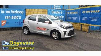 Autoverwertung Kia Picanto Picanto (JA), Hatchback, 2017 1.0 DPI 12V 2024/2