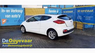 Vrakbiler auto Kia Pro cee d Pro cee'd (JDB3), Hatchback 3-drs, 2013 / 2018 1.4i 16V CVVT 2013/4
