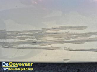 Renault Scenic Scenic III (JZ), MPV, 2009 / 2016 2.0 16V CVT picture 14