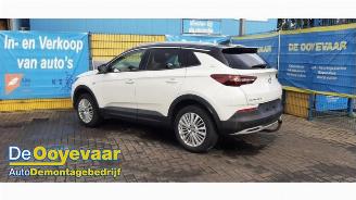 Vrakbiler auto Opel Grandland Grandland (X), SUV, 2017 1.2 Turbo 12V 2018/3