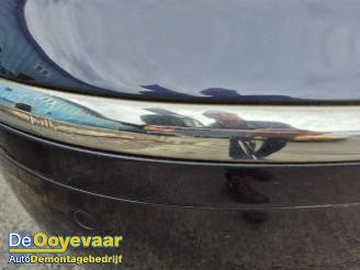 Volkswagen Phaeton Phaeton (3D), Sedan, 2002 / 2016 6.0 W12 48V 4Motion Lang picture 5