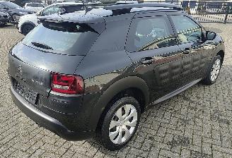 Citroën C4 cactus Citroën C4 Cactus Feel navi camera picture 5