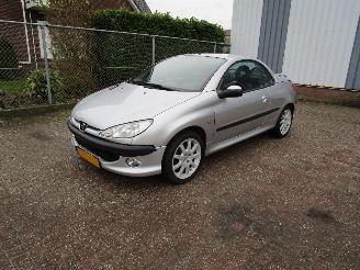 Vaurioauto  passenger cars Peugeot 206 CC 1.6 Automaat Leder 2003/4