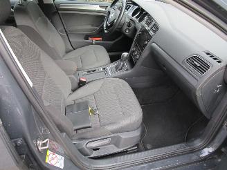 Volkswagen e-Golf Navi Camera 57.000 KM picture 10