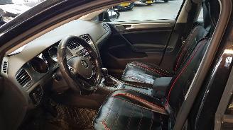 Volkswagen Golf 1.6 TDI BLUEMOTION 16V AUT  DSL 1.598CC 81KW 110PK picture 9