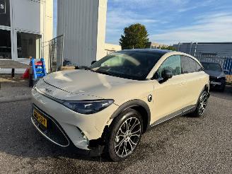 Smart  #3 Premium 66 kWh picture 1