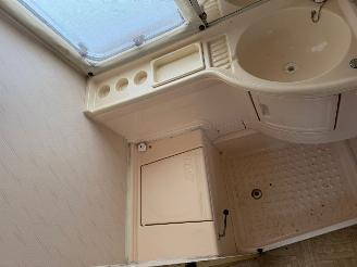 LMC  Munsterland 450 P picture 7