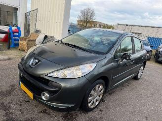 Avarii autoturisme Peugeot 207 1.4-16V XR 2006/5