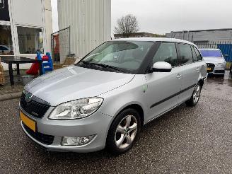 Damaged car Skoda Fabia Combi 1.2 TDI Greenline 2011/8