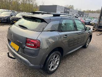 Citroën C4 cactus 1.6 BlueHDi Business picture 5