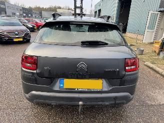 Citroën C4 cactus 1.6 BlueHDi Business picture 4