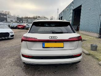 Audi E-tron e-tron 55 quattro advanced 95 kWh AUTOMAAT picture 4