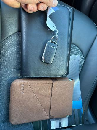 Kia Niro EV DynamicLine 64.8 kWh picture 16