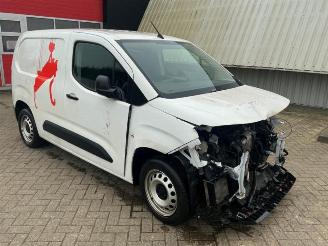 Opel Combo Combo Cargo, Van, 2018 1.6 CDTI 100 picture 1