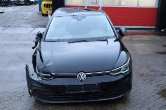 Volkswagen Golf Golf VIII (CD1), Hatchback, 2019 1.0 TSI 12V picture 8