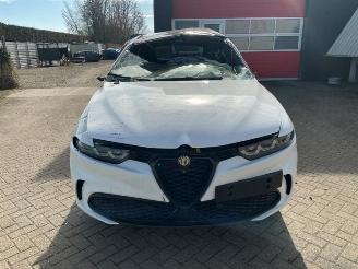 demontáž osobní automobily Alfa Romeo Tonale Tonale, SUV, 2022 1.3 T Hybrid Q4 2025/1