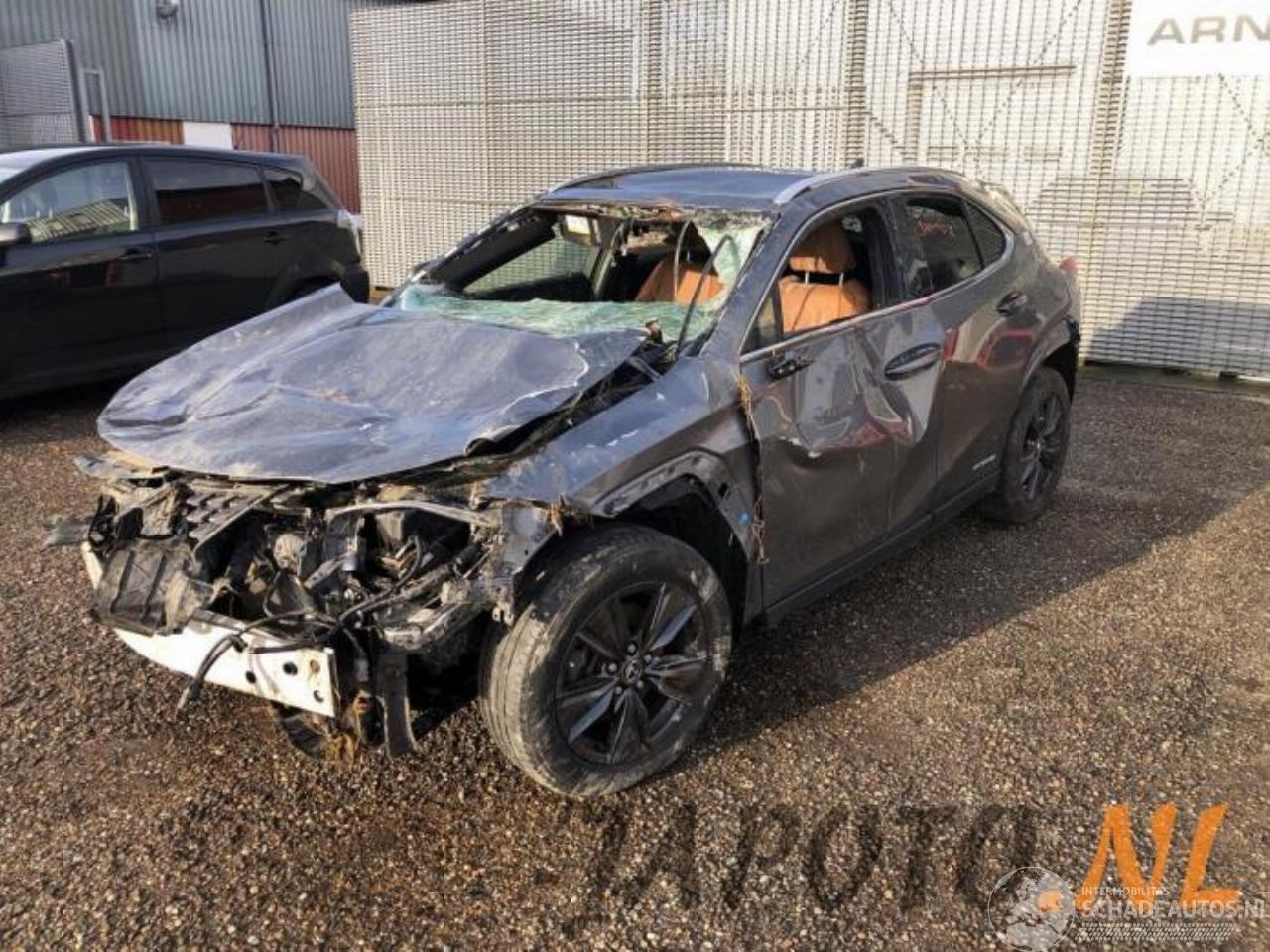 Lexus UX UX, SUV, 2019 250h 2.0 16V