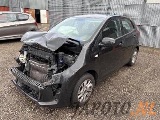 Sloopauto Kia Picanto Picanto (JA), Hatchback, 2017 1.0 12V 2019/8