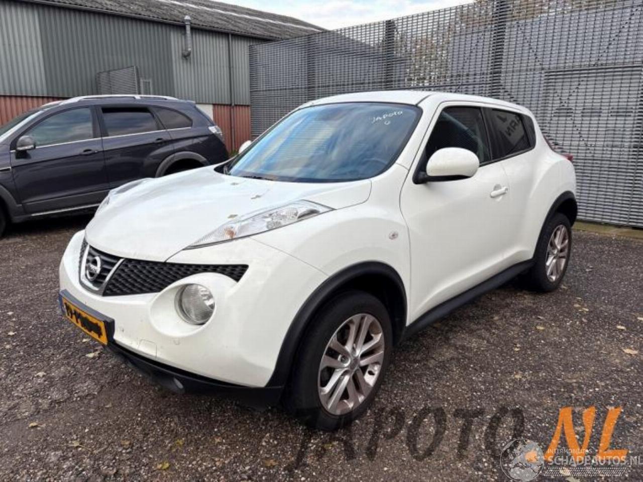Nissan Juke Juke (F15), SUV, 2010 / 2019 1.6 16V