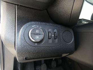 Opel Combo 1.5D picture 13