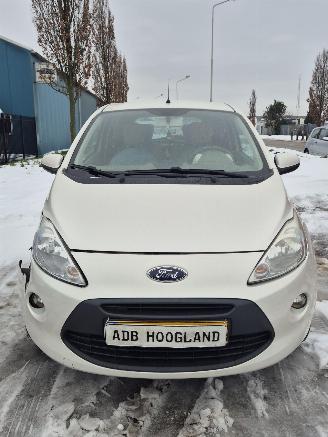 Vrakbiler auto Ford  II Hatchback 1.2 (169.A.4000(Euro 4; Euro 5)) [51kW] 5-BAK 2010/1