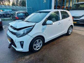 krockskadad bil auto Kia Picanto Picanto (JA) Hatchback 1.0 12V (G3LD) [49kW] 2023/6
