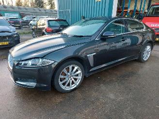 Unfallwagen Jaguar XF 2.2 Diesel 2012/1