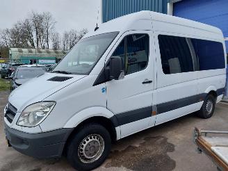  Mercedes Sprinter Sprinter 3,5t (906.73) Bus 311 CDI 16V 2010/4