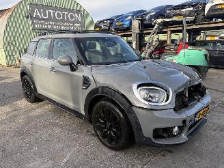 Voiture accidenté Mini Countryman 1.5 75KW Autom. Pano Clima Navi Dutch Made Edition Led 2019/9