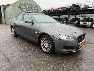 Jaguar XF 2.0D 120KW Autom. Clima Navi Leer Xenon Portfolio NAP 2017/11