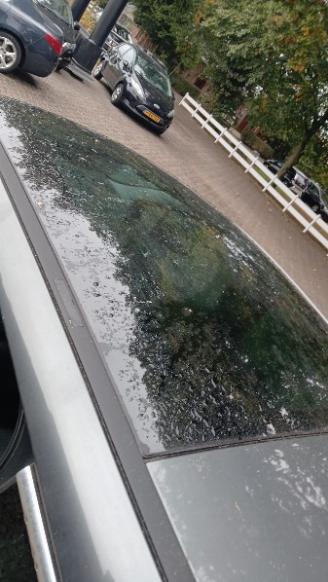 Peugeot 3008 3008 I (0U/HU) MPV 2.0 HDiF 16V, BlueHDi 150 16V (DW10CTED4.FAP(RHE)) =
[110kW]  (06-2009/08-2016) picture 6