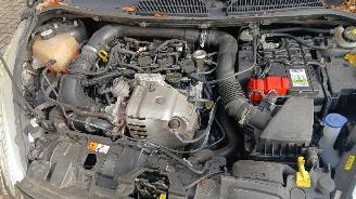 Ford Fiesta Fiesta 6 (JA8) Hatchback 1.0 EcoBoost 12V 100 (SFJC) [74kW]  (01-2013/=
06-2017) picture 6