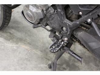 Yamaha XT 660 Z Tenere ABS picture 12