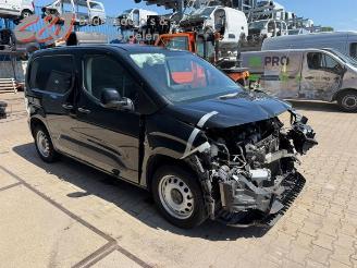 Opel Combo Combo Cargo, Van, 2018 1.6 CDTI 100 picture 10