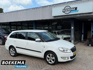 Skoda Fabia Combi 1.2 TDI Greenline Airco Cruise picture 1