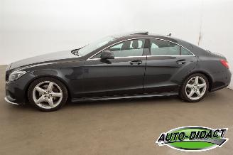 Mercedes CLS 220d Automaat Clima Navi Elek dak Camera Leder picture 38