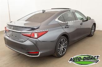 Lexus ES 300 Hybrid 33.094 km Carpas Clima Navi Leder Camera picture 4