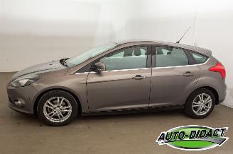 Ford Focus 1.6 TDCI Navi Clima ECOnetic Lease Titanium picture 37