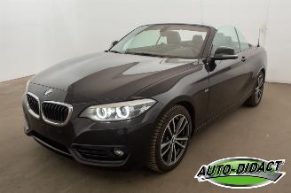 Avarii autoturisme BMW 2-serie 218i Cabrio Clima Navi CARPAS 2017/8